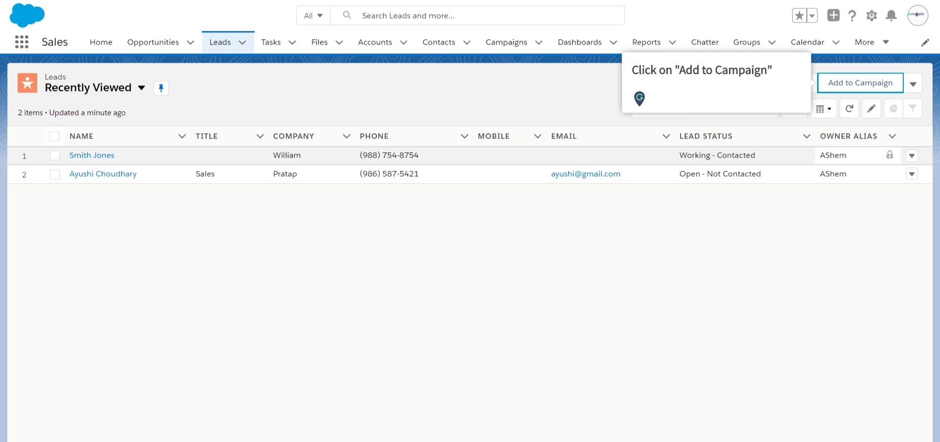 add to campaign button salesforce lightning list view