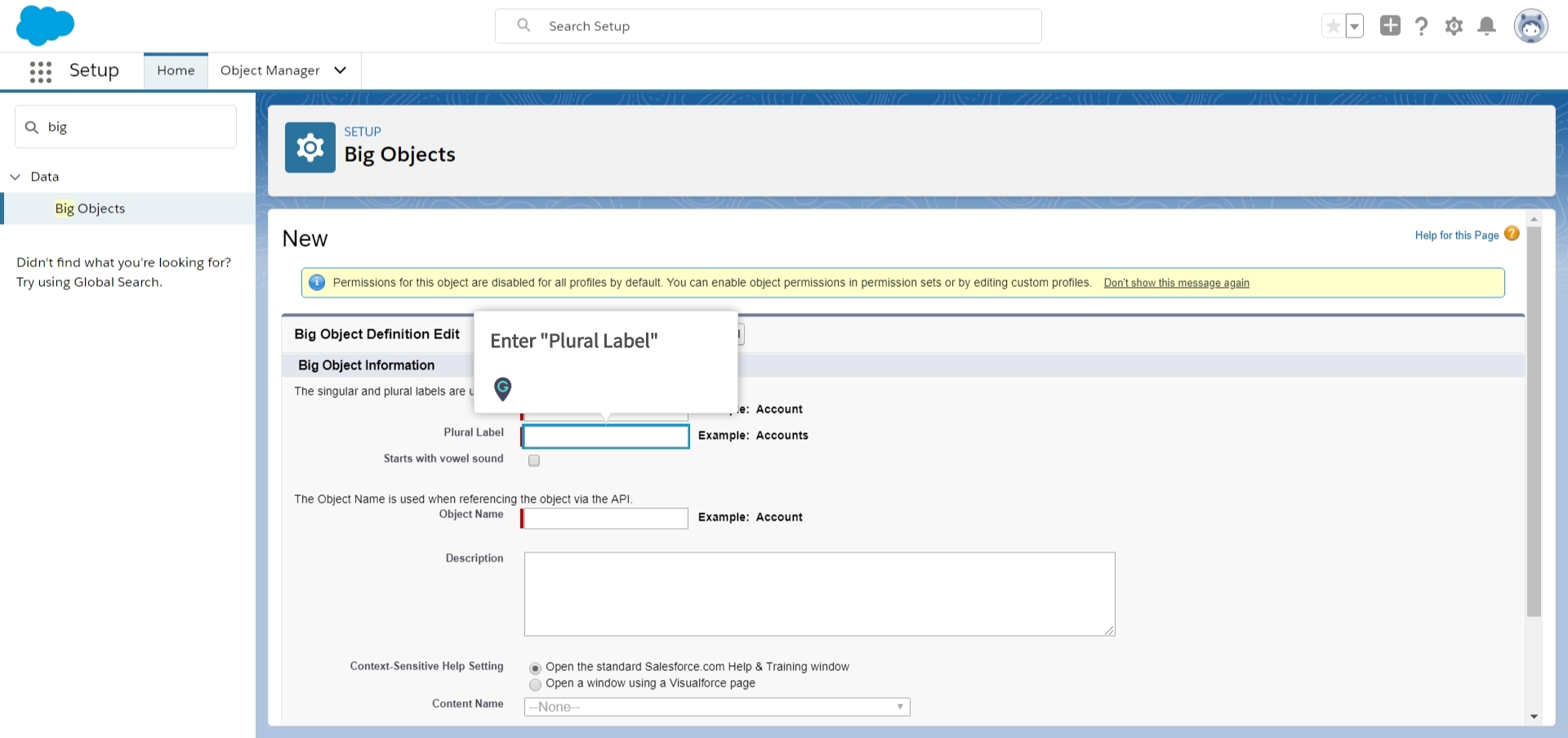 how-to-insert-big-object-information-in-salesforce-lightning-a-guide-by-myguide