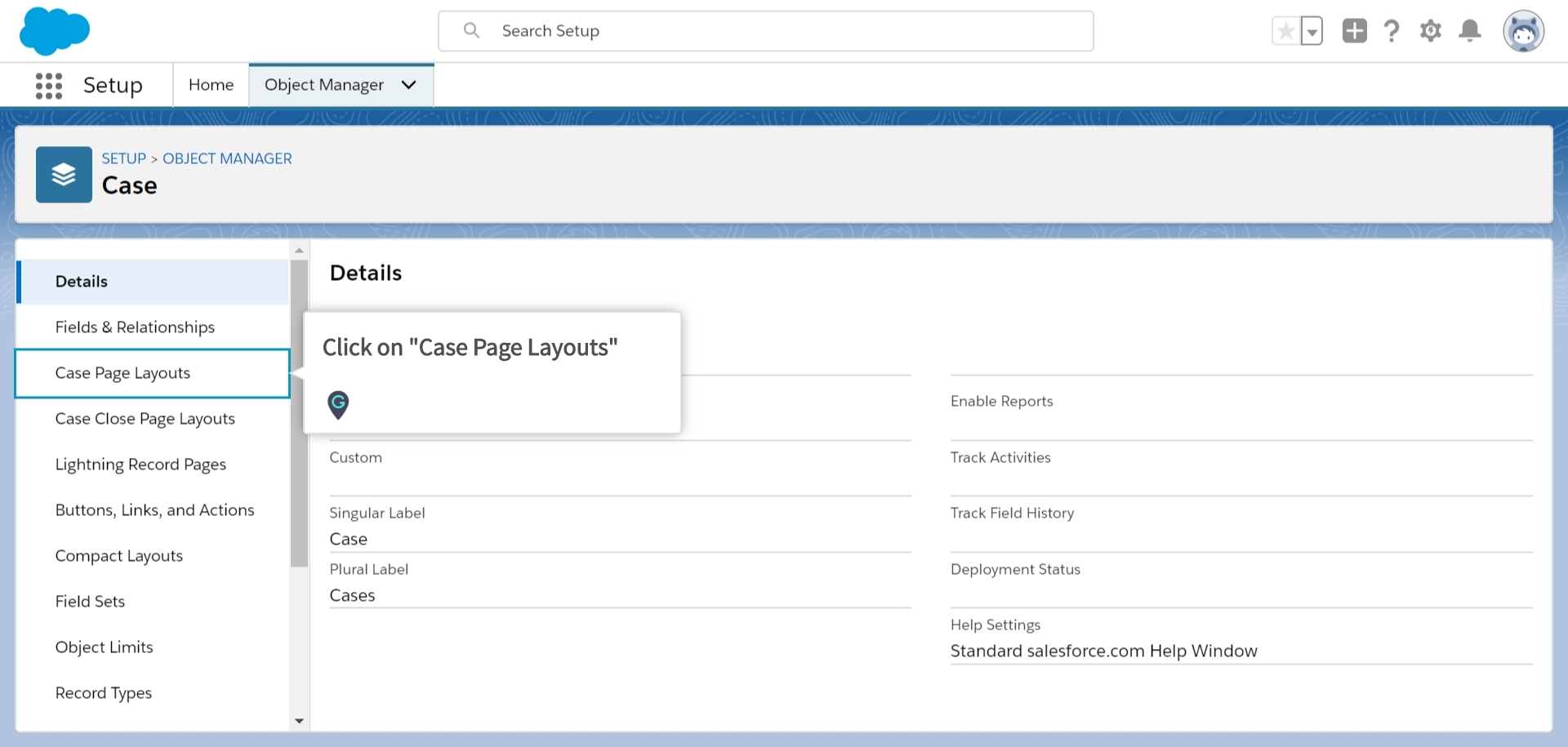 How to create a New Case Page Layout in Salesforce Lightning | A Guide by  MyGuide
