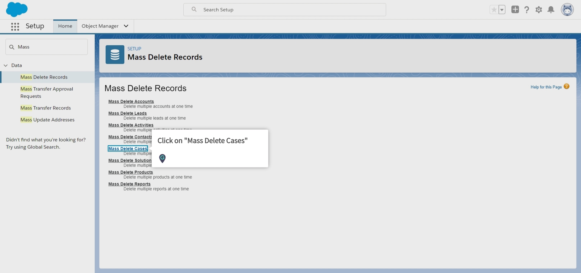How to delete Mass Cases in Salesforce Lightning A Guide by MyGuide