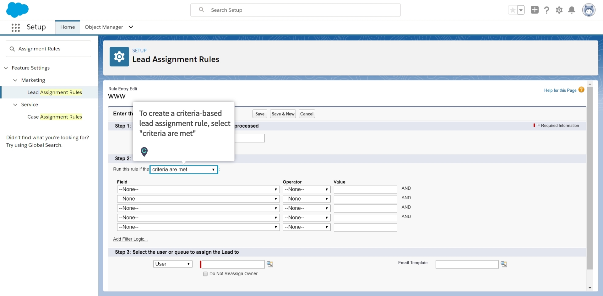 how to export lead assignment rule in salesforce