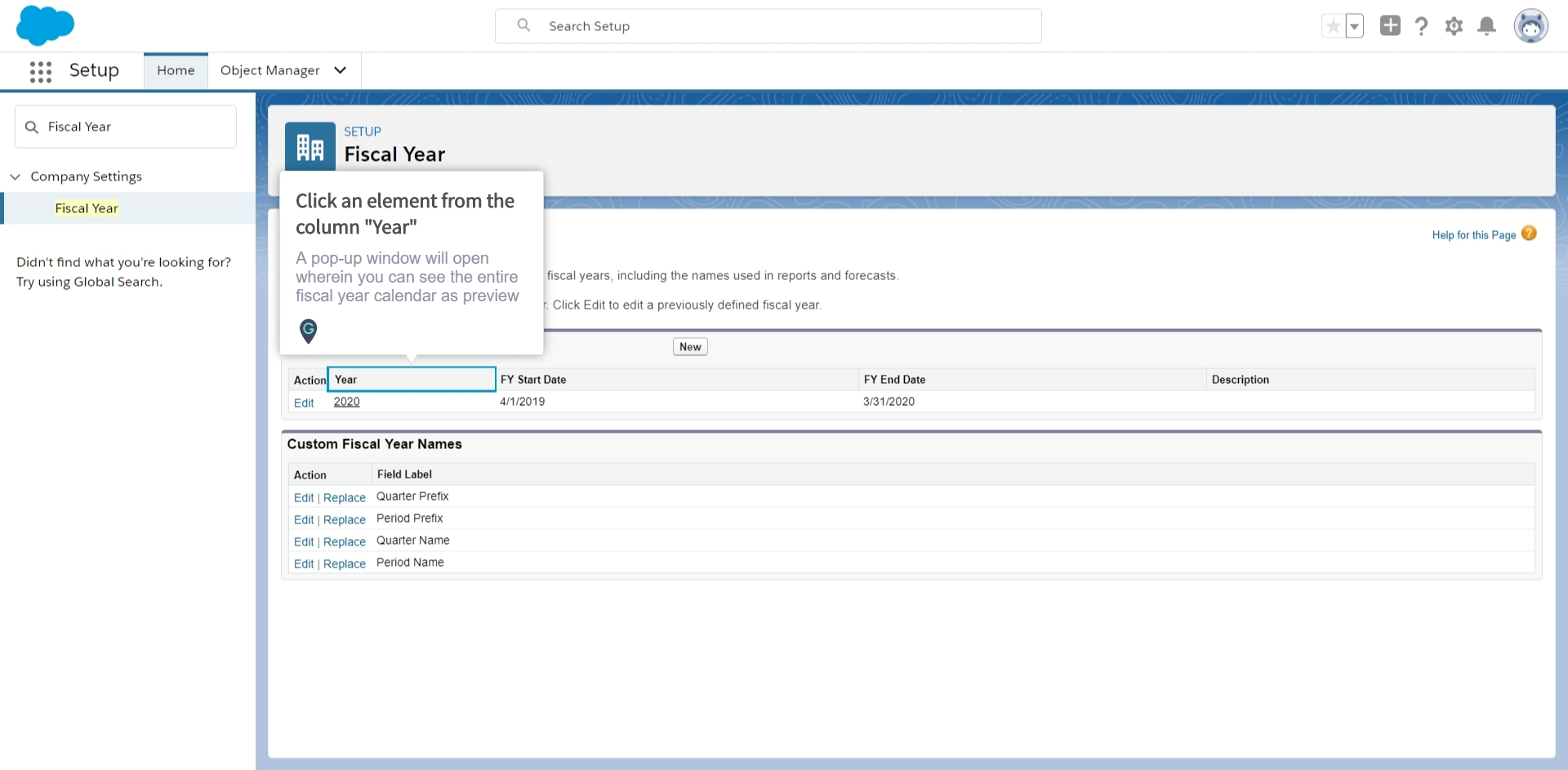 How to preview custom Fiscal Year for the organization in Salesforce
