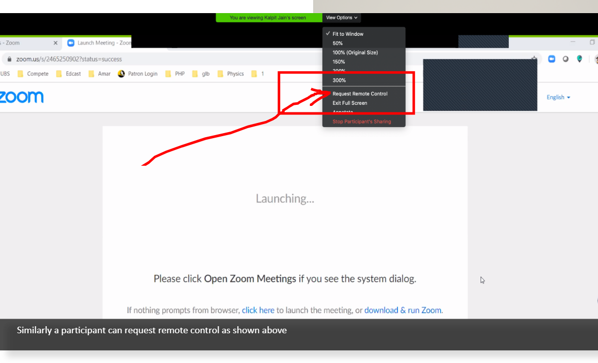 how to give presentation control in zoom