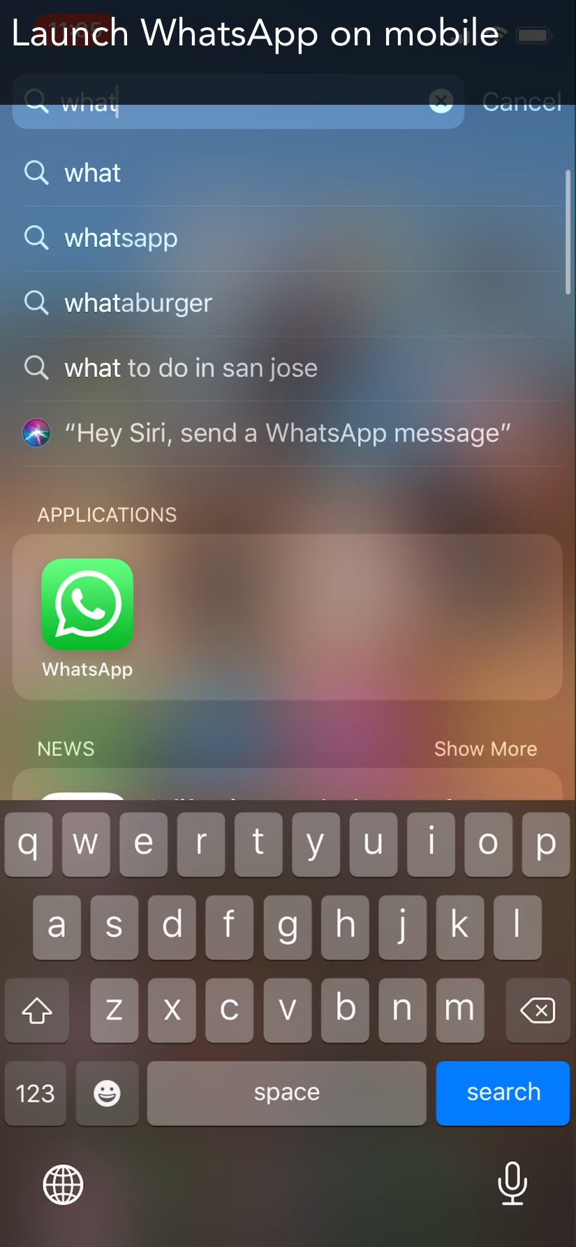 How to check and delete storage on whatsapp mobile app using iPhone | A ...